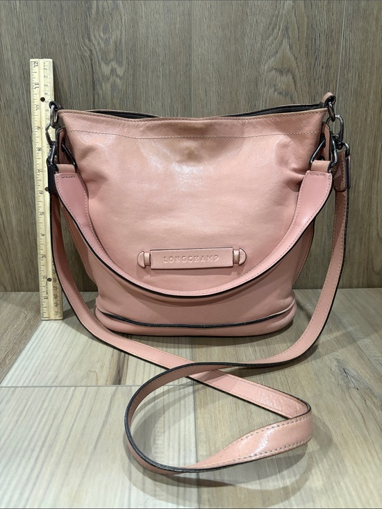 Longchamp Handbags - Longchamp Paris Mauritius Dusty Pink Mauve 3D Leather Crossbody Shoulder Hobo